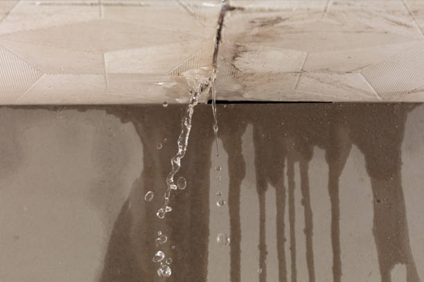 Professional Water Damage Repair technician working in Brent, FL